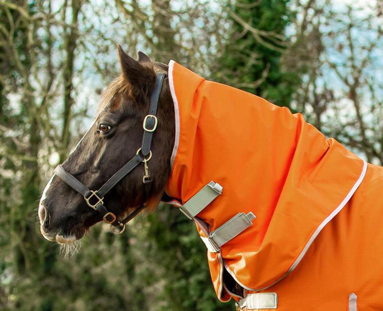 Swish Equestrian 100g Orange Turnout Rug Neck Cover