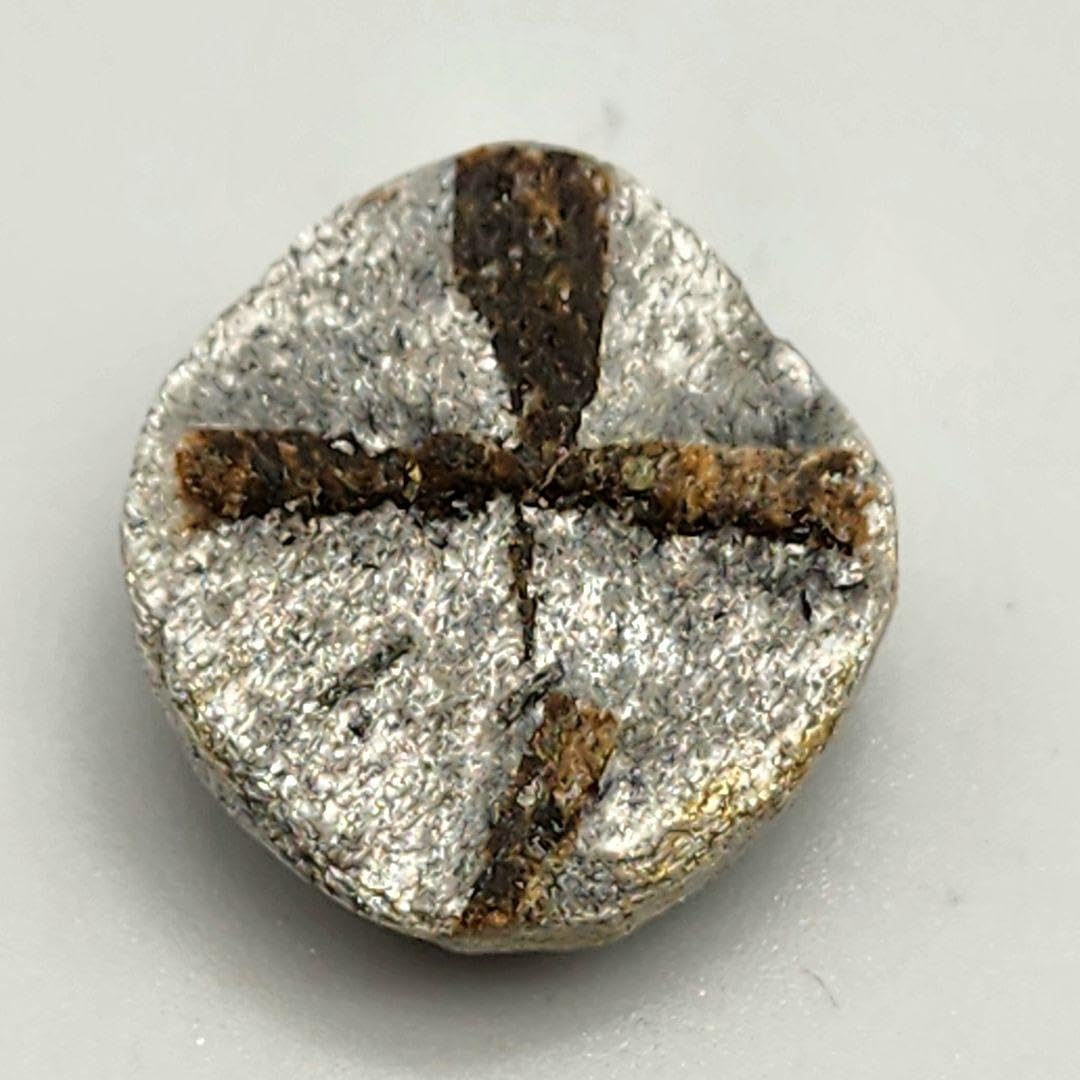 Amazon.co.jp: 天然石 見事な美しさのロシア産十字石 スタウロライト 1  