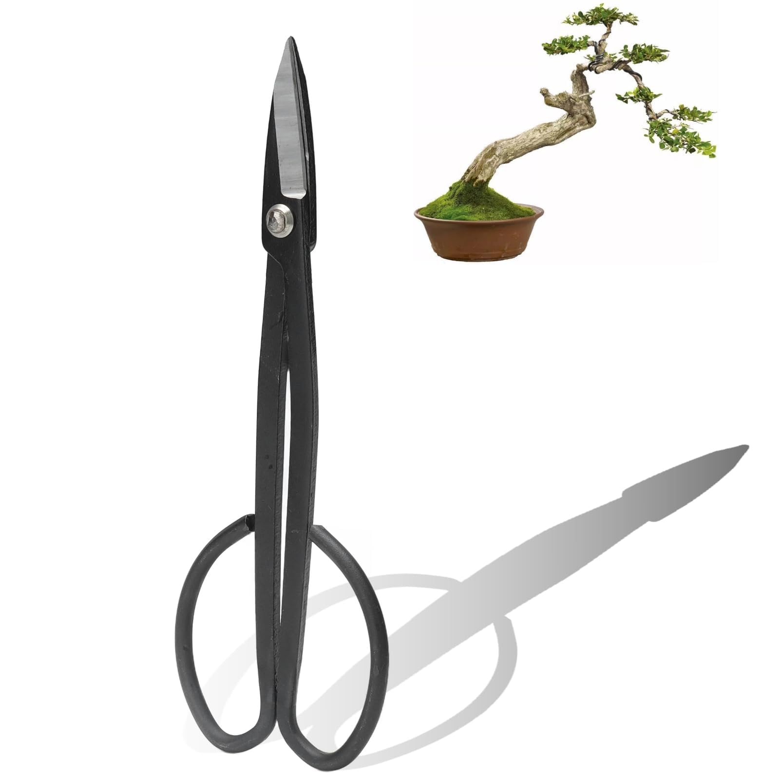 19.5x7.2cm / 7.7x2.8in Stainless Steel Bonsai Scissors Tools, High Carbon Steel Rustproof High Hardness Garden Bonsai Pruning Shears for General Fine Cutting Deadheading Flowering Plants