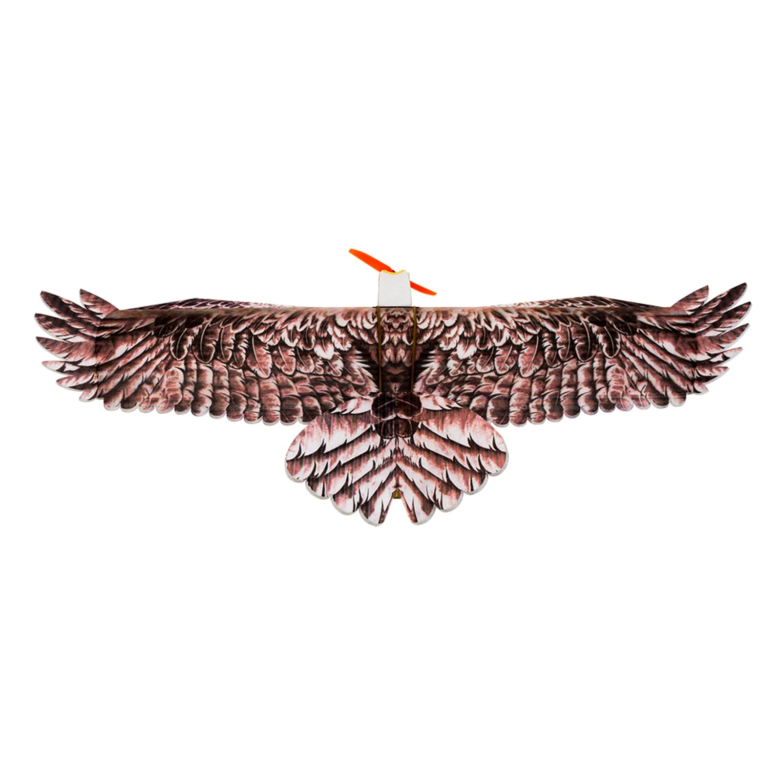 Domary EPP RC-Flugzeug Eagle Plane 1430 Mm Spannweite Elektrisch Angetriebener -Flugmodellbausatz PNP-Version mit Motor-ESC-Servo für Anfänger und Bastler (PNP)
