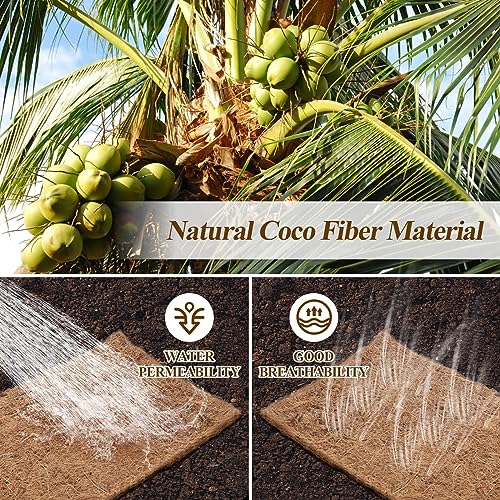 Creative Mulch Ideas for Your Front Yard