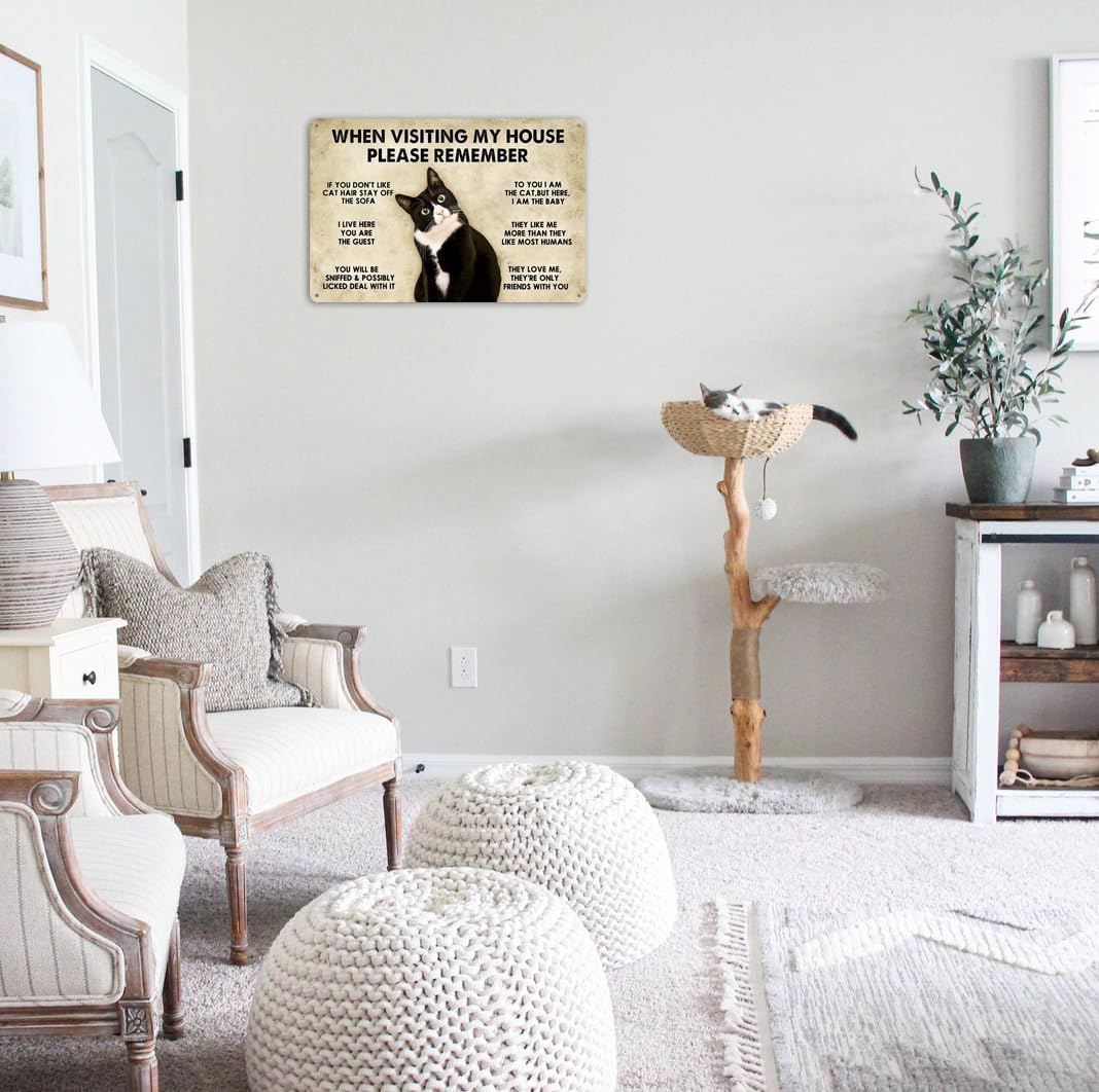 Black Cat Surprising When Visiting My House Please Remember Doormat Ho