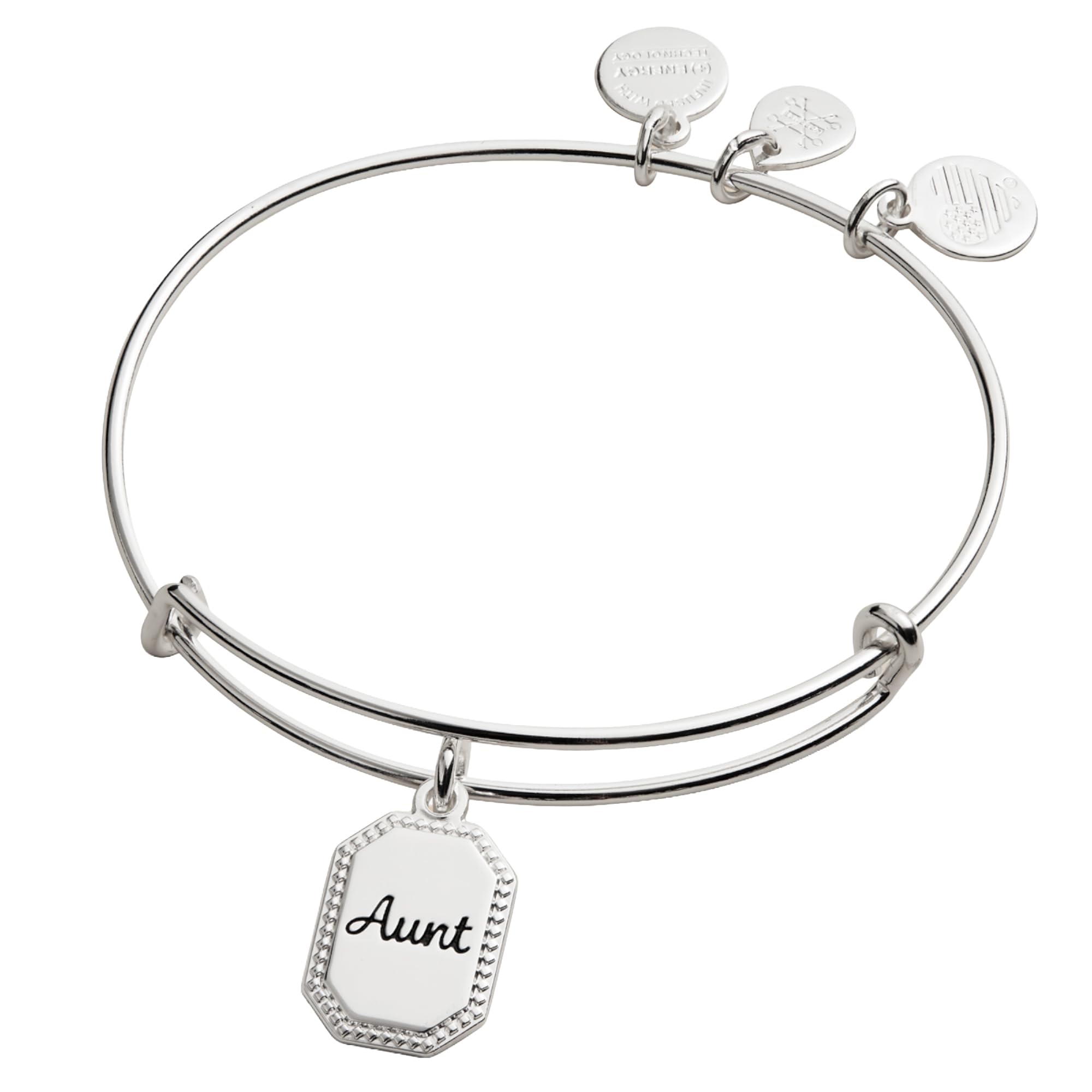 Alex and Ani Charm Bangle