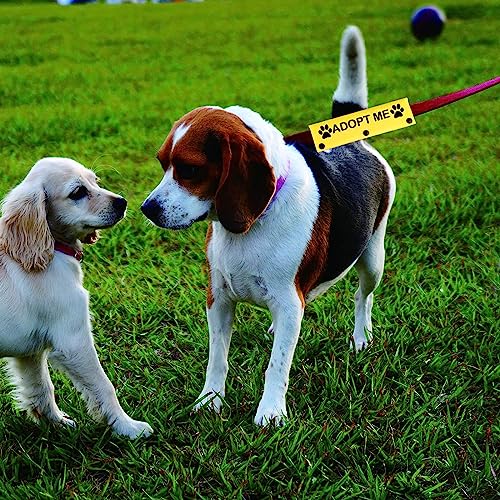 Funny Dog Leash Sleeve Adopt Me Dog Leash Wrap Wrap Alert Hanging ID Patch Tag Pet Birthday Gift (Adopt Me-YE Sleeve) Funny Dog Leash Sleeve Adopt Me Dog Leash Wrap Wrap Alert Hanging ID Patch Tag Pet Birthday Gift (Adopt Me-YE Sleeve)