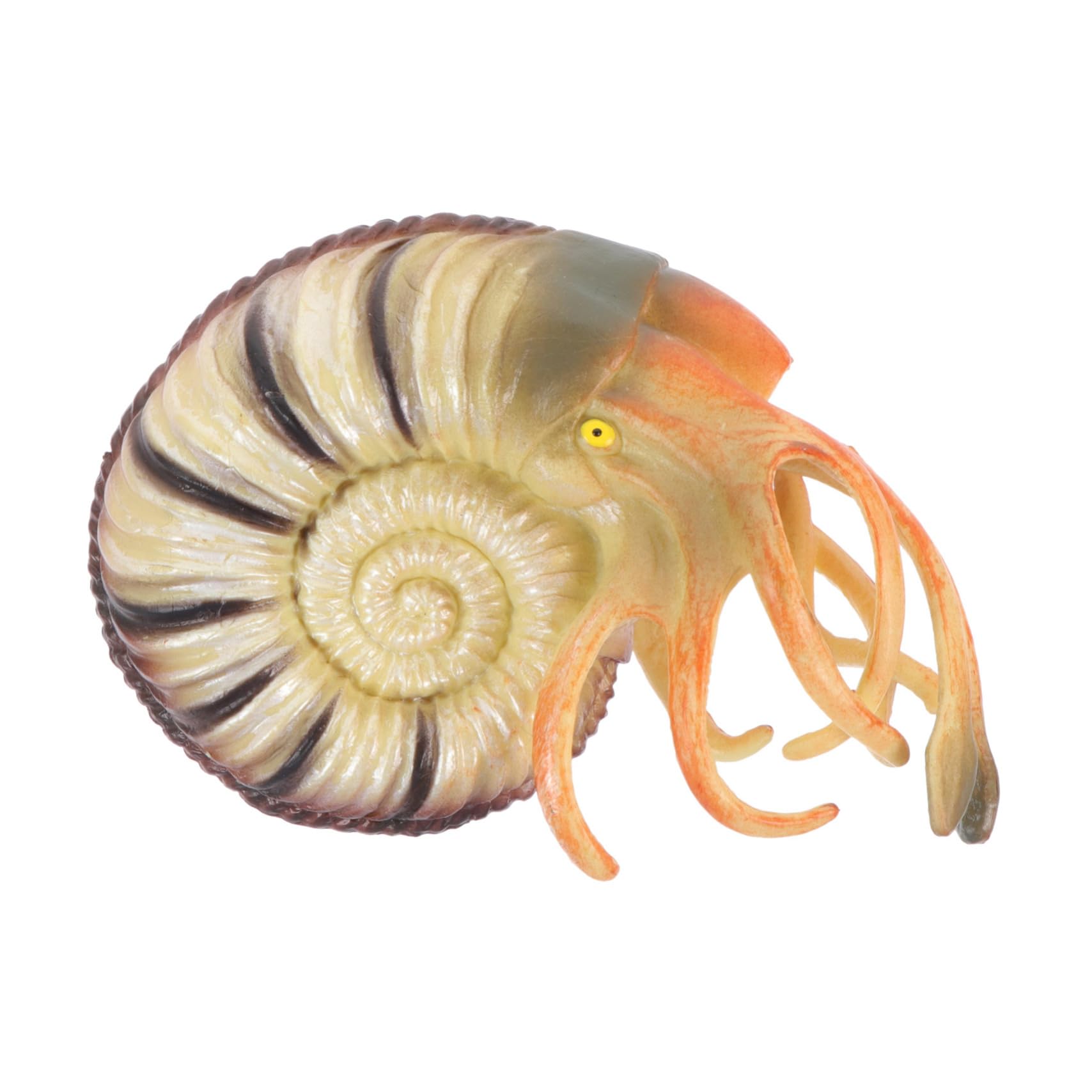 ibasenice Simulation Nautilus Toy Model Lightweight PVC Nautilus Figure Educational Animal Decor for Boy Girl for Home School