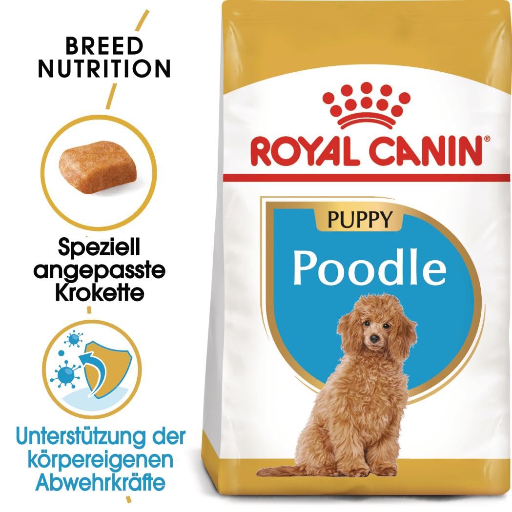 Amazon.co.jp: ロイヤルカナン BHN プードル 成犬用 3kg : ペット用品