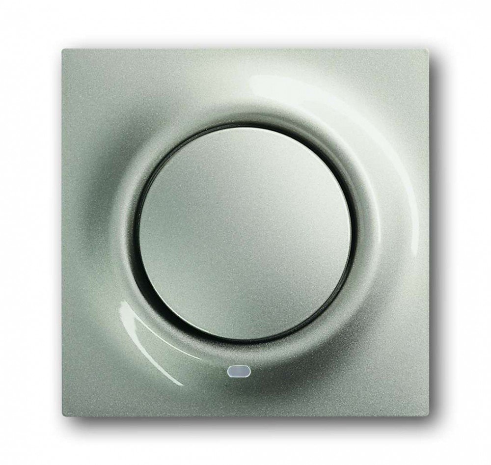 Busch-Jaeger – 1789 LI-79 Centraalplaat met symbool Symbool licht met