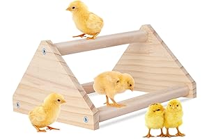 Professional Wooden Chick Perch, Your Baby Chicks Ultimate Entertainment Destination