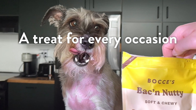 Bocce's Bakery Quack, Quack, Quack Training Treats for Dogs, Wheat-Free Dog Treats, Made with Real Ingredients, Baked in The USA, All-Natural & Low Calorie Training Bites, Duck & Blueberry, 6 oz - image 7