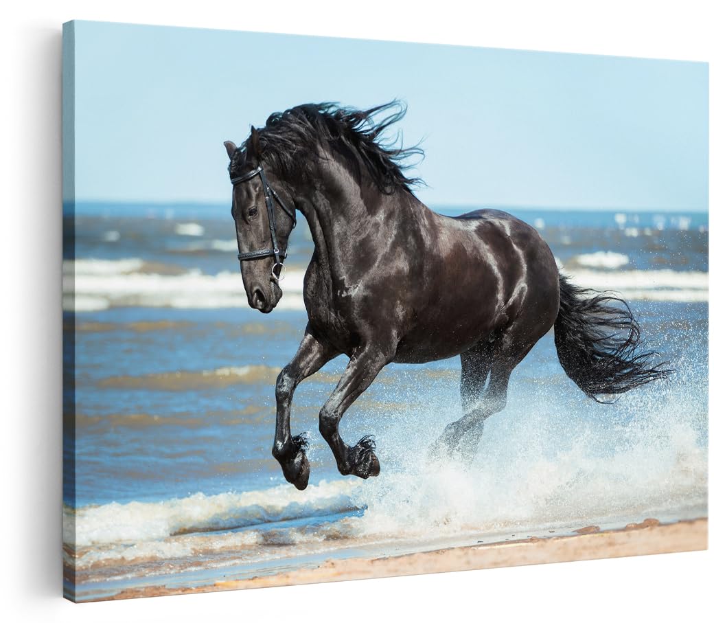 Artaza Cuadros Decoración Salón Modernos Caballo - 90x60 cm - Cuadros Decorativos Playa - Decoración Pared Hogar - Lienzo Animales