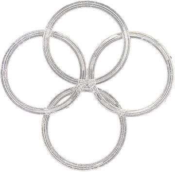 Clear Plastic Rings 12 Pieces - for Arts & Crafts and DIYs 3" Inch Ring
