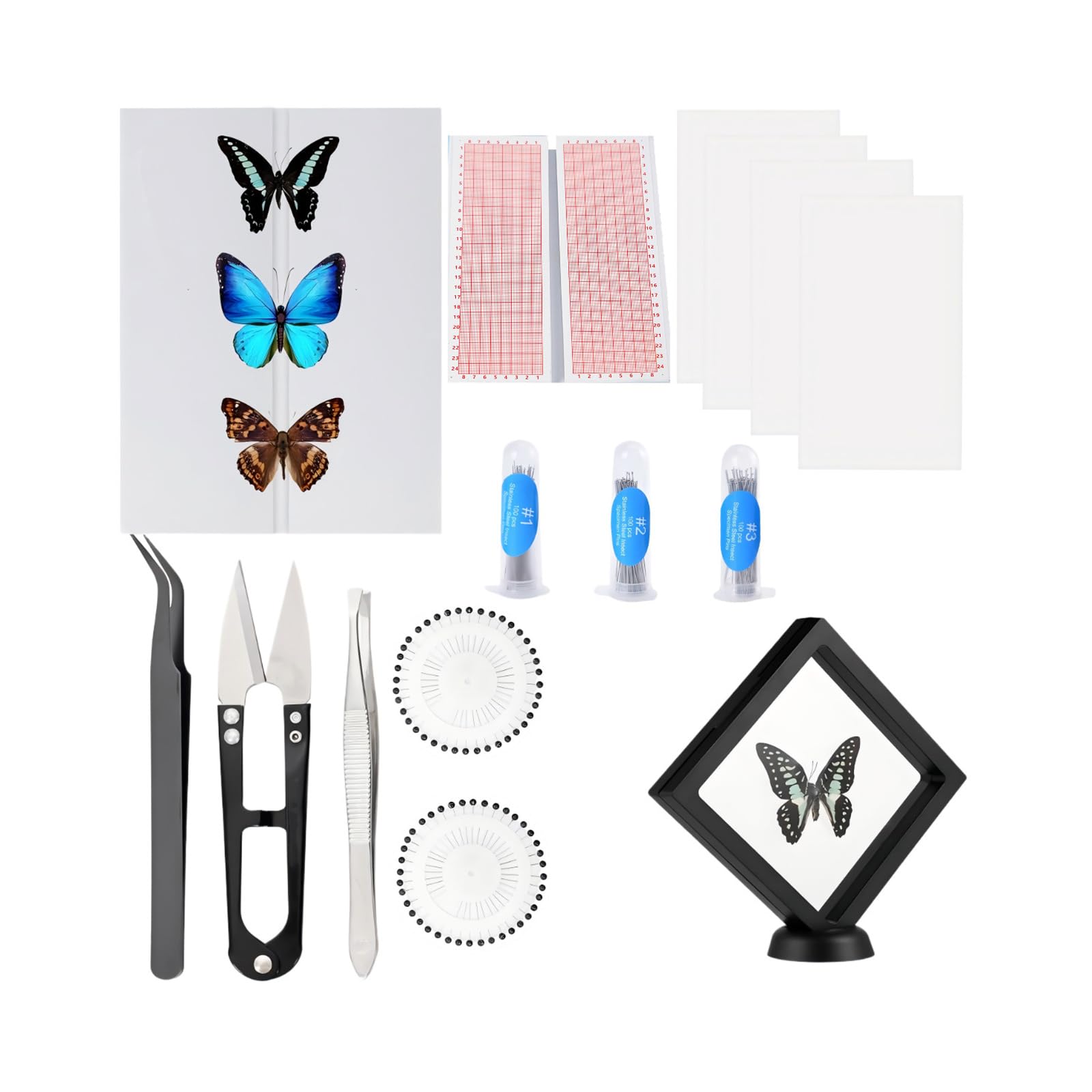 Ljhnba Multicolor Complete Arthropod Preparation Equipment Set With Eva Foam Pinning Board Coordinate Paper And Stainless Steel Fixation Tools For Professional Entomology Study Mounting Accessories
