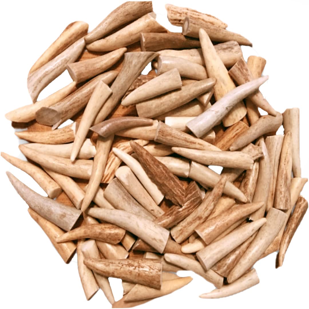 WhiteTail Naturals New Small Polished Deer Antler Crafting Tips- Points for Jewelry Making, Key Chains, Home Decor, Native Crafts & Pendants