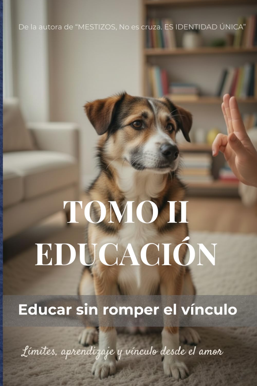 MESTIZOS - TOMO II: EDUCACIÓN: Educar sin romper el vínculo