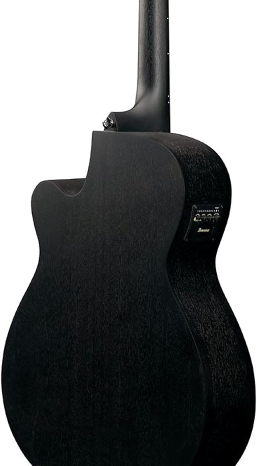 Ibanez Acoustic Guitar / VC44CEWK