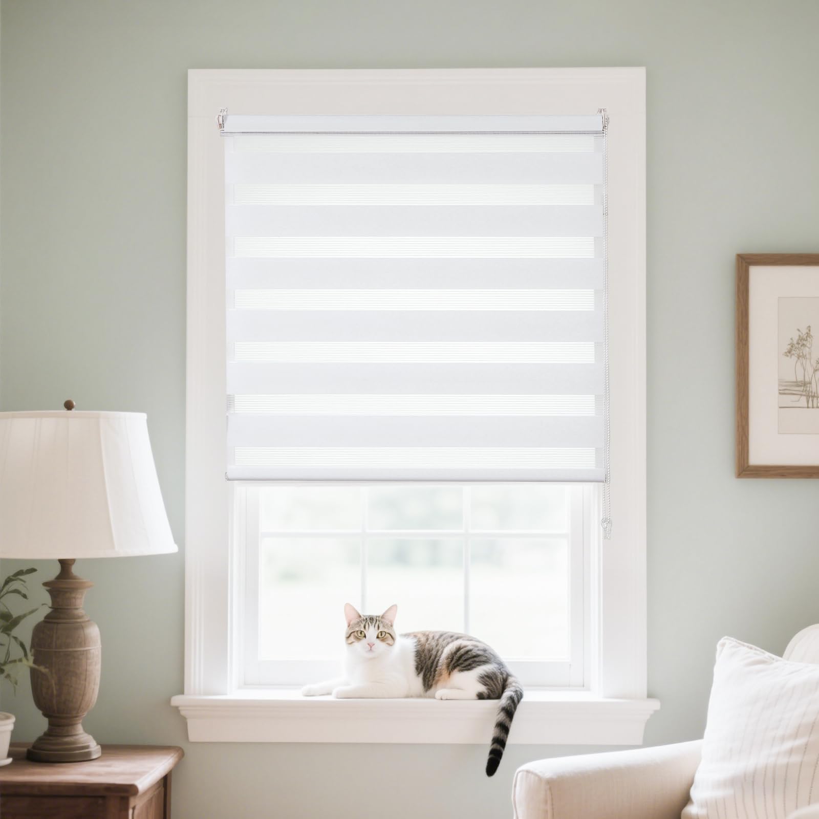 Joydeco Doppelrollo Klemmfix ohne Bohren Rollo für Fenster ohne Bohren für Fenster mit Durchlicht & Verdunkelung/Höhe stufenlos verstellbar
