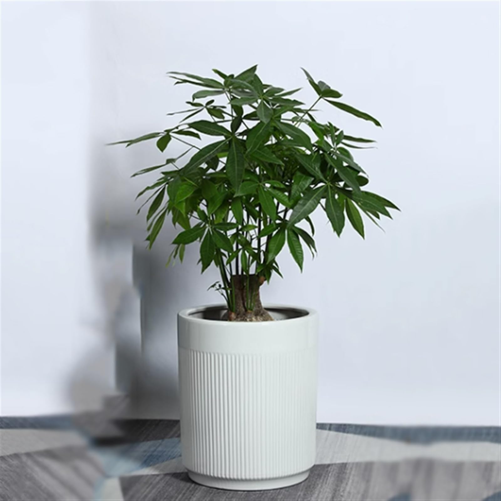 Doniczki na kwiaty Doniczki Białe ceramiczne proste linie Kwiatowy wzór Doniczki na rośliny Salon Balkon Rodzaj podłogi w domu Rośliny zielone Duże donice Doniczka (Size : M)