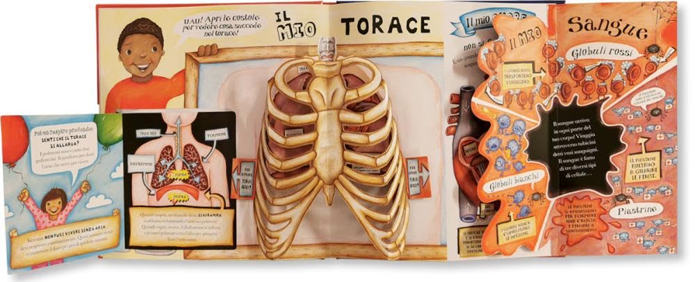 Grande libro pop-up del corpo umano. Ediz. a colori