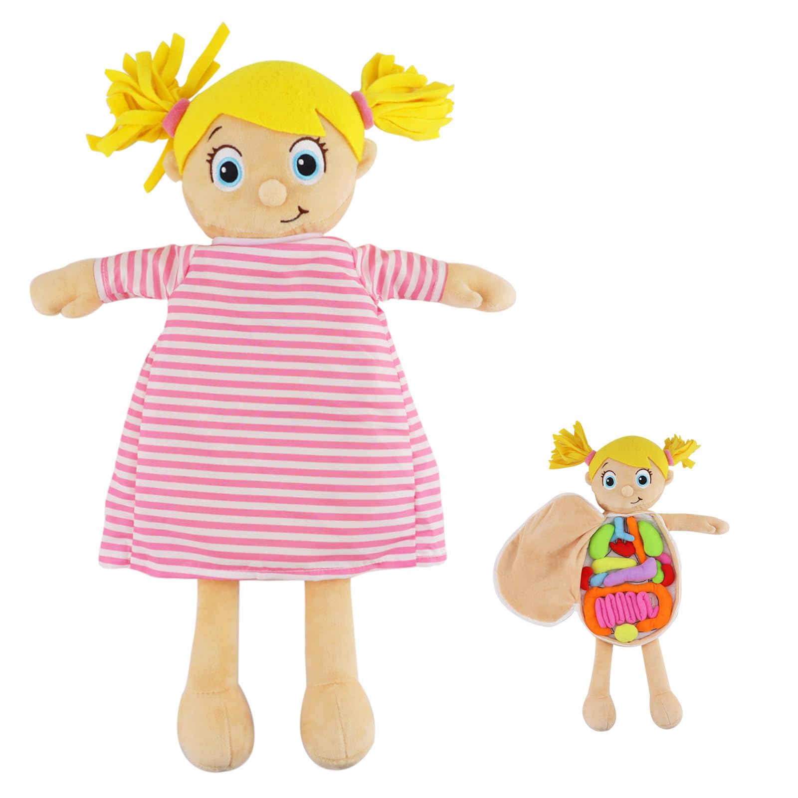 vocheer Human Body Anatomy Toy, Montessori Preschool Educational Organ Plush Toys for Kids, Science Learning Kits for Student, Body Organ Awareness