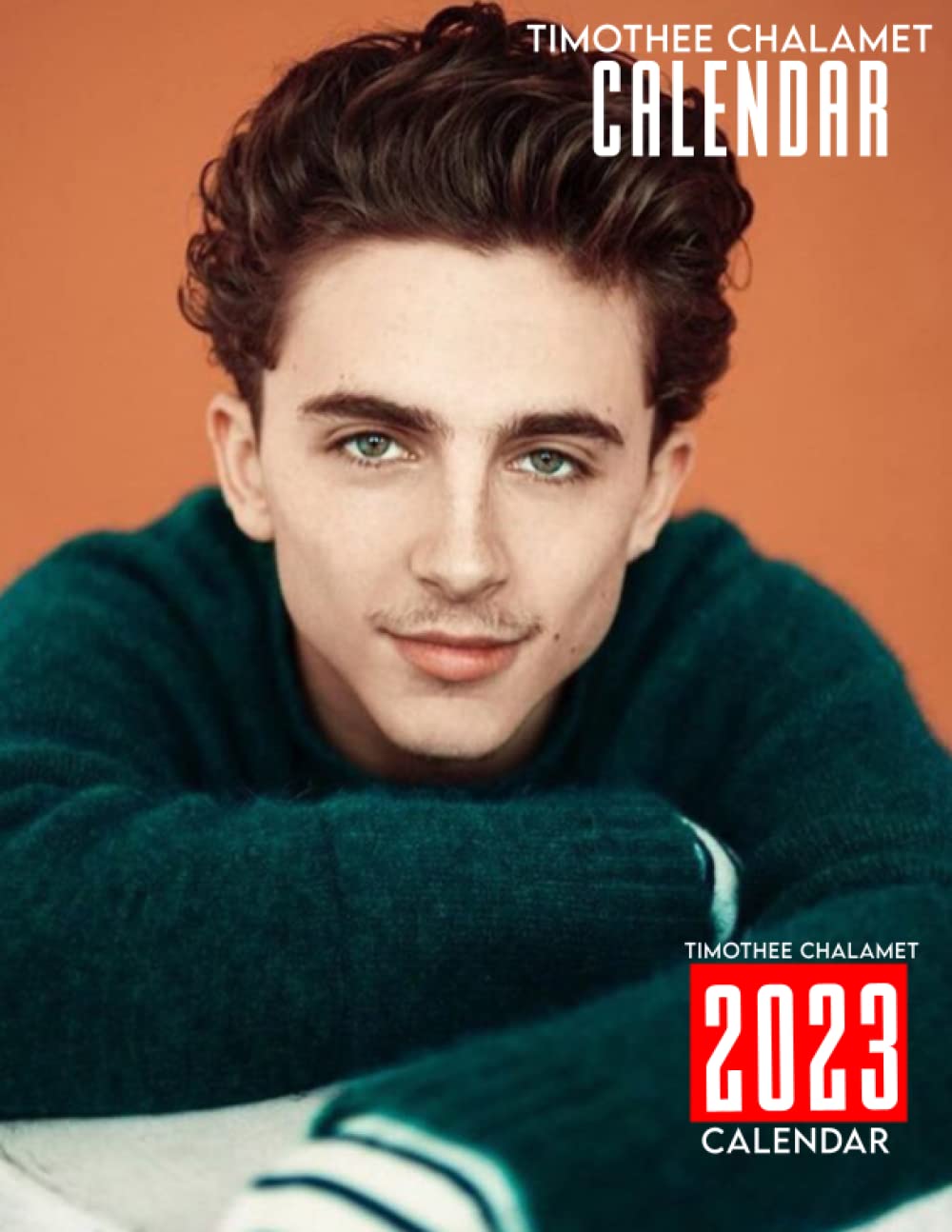 Buy 2023 T chalamet 2023 OFFICIAL Planner With Monthly Tabs And Notes buy-2023-t-chalamet-2023-official-planner-with-monthly-tabs-and-notes