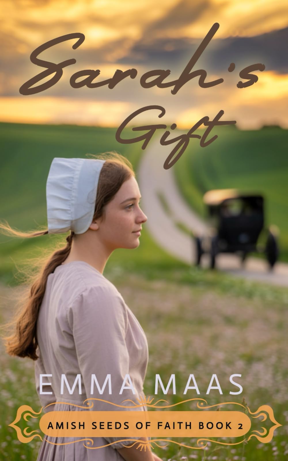 Sarah's Gift (Amish Seeds of Faith)