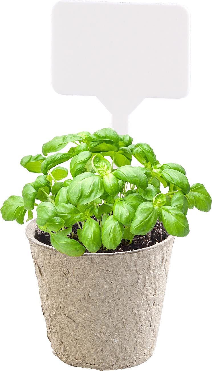 Royal Gardineer kit di germinazione: 84-pezzi Set di coltivazione delle piante, Vasi per semina biodegradabili, personalizzabili (vasi per la semina, set coltivazione piante, coltivare)