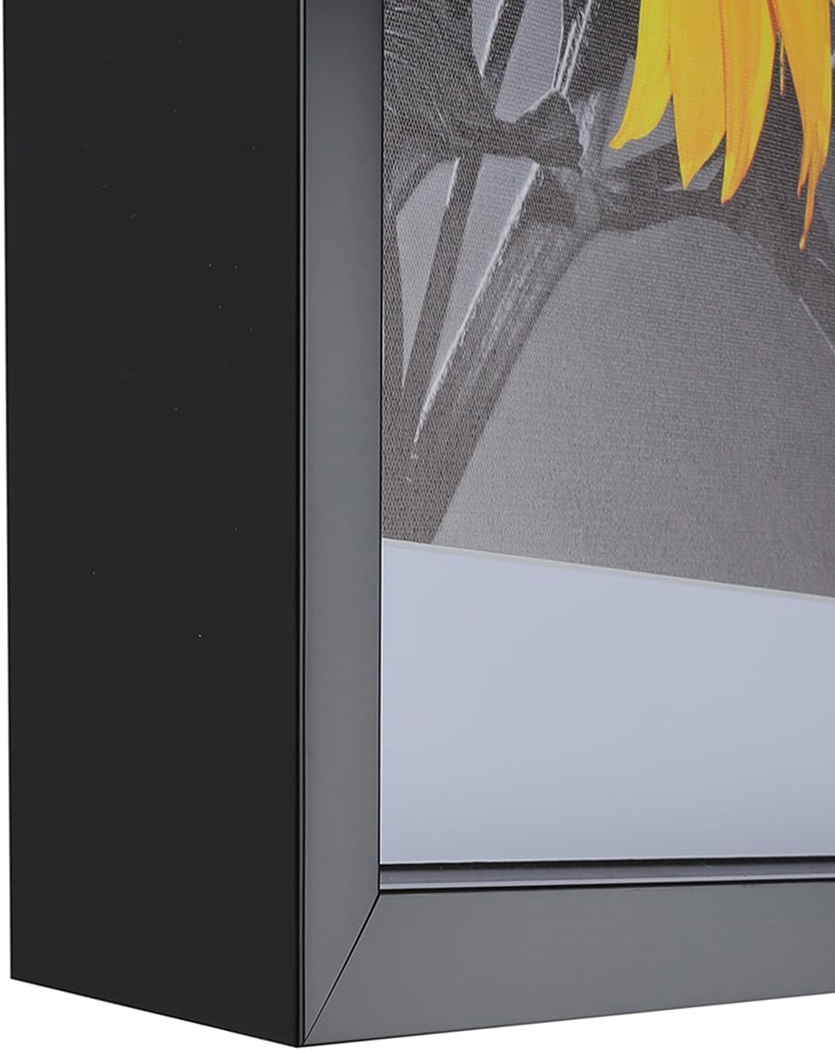 2-3/16" Deep Polystyrene Shadow Box Picture Frame - by WholesaleArtsFrames-com 20x30 2880 - Black - American Made