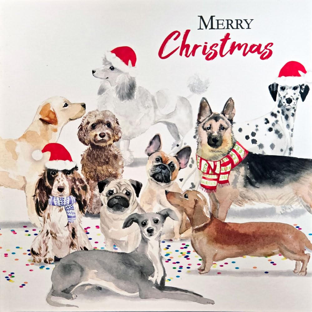 Traditional Festive Art, Large Square 160 x 160mm (6.5x6.5"), Seasons Greetings, Pack of 5 Premium Charity Christmas Cards