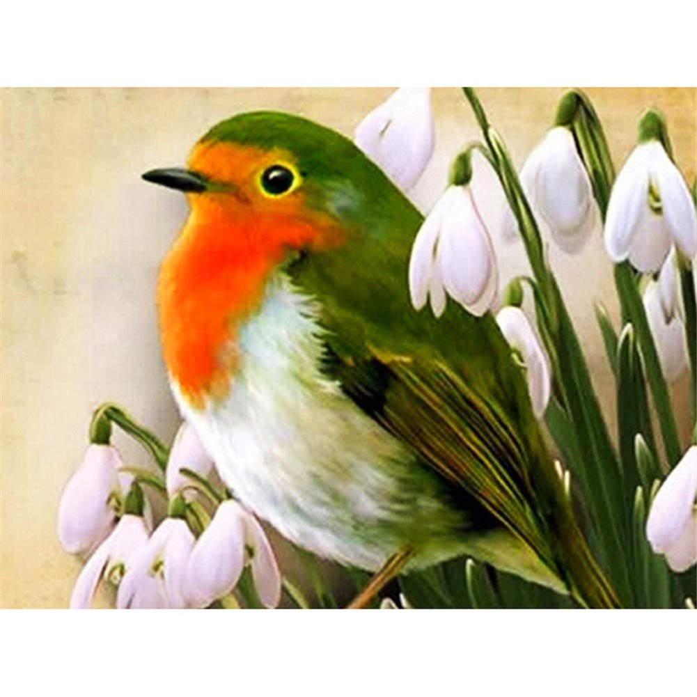 Kit Broderie Diamant Oiseau 60x80 cm avec Strass Ronds pour Peinture Points de Croix