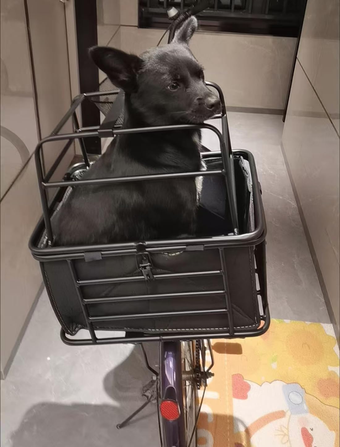 Panier arrière Robuste pour vélo pour Chiens et Chats, Cage de Transport Ajustable pour Animaux avec Housse et Serrure, Panier Multifonction pour Animaux, Courses et Usage Quotidien