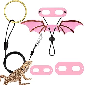 ときち　爬虫類ケージ　フトアゴ　ハリネズミ フルオプション　送料込み 710w6fU+9ML._UF350,350_QL50_.jpg