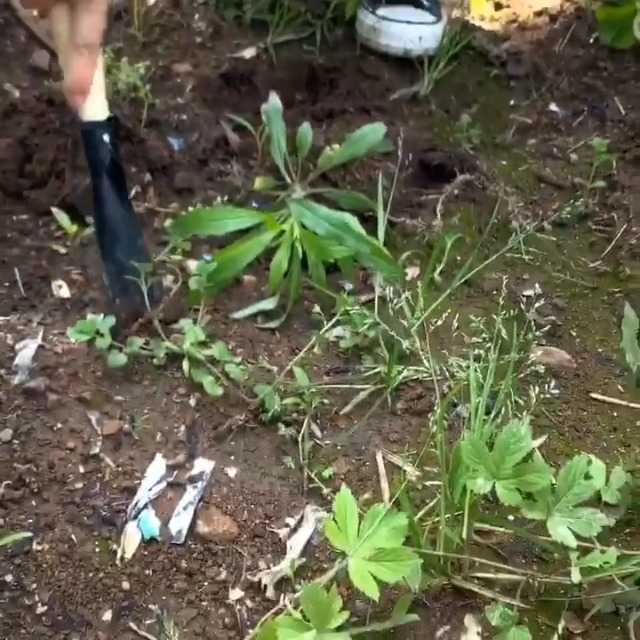 Juego de 3 herramientas para jardín DecoVista miniatura 7