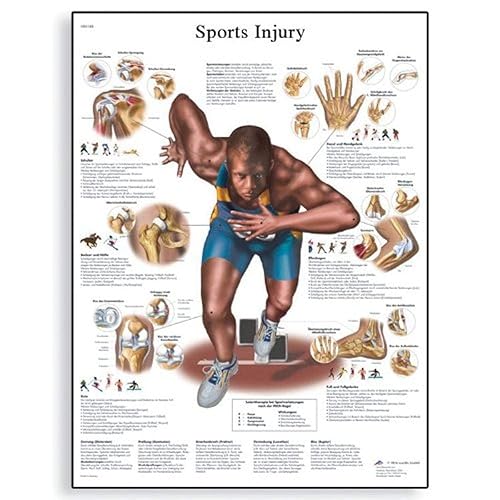 3B Scientific VR0188UU Papel brillante Sportverletzungen Anatomical Chart (gráfico anatómico de lesiones deportivas, alemán), tamaño del póster 20