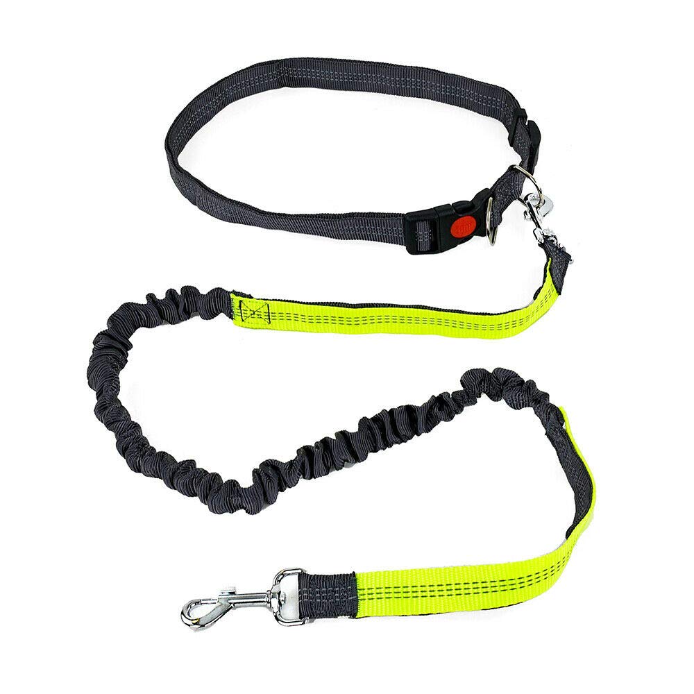 Valmoni Sport Correa de Cintura para Perros Correr con Cinturón Elástico Cintura Paseo Pasear Joggen Trainieren Outdoor Viajes
