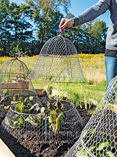 image for Gardener's Supply Company Sturdy Chicken Wire Cloche Plant Protector &
