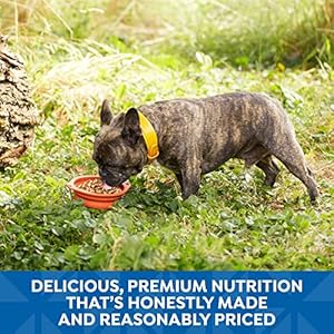 Nature’s Recipe Wet Dog Food, Variety Pack, 2.75 Ounce Cup (Pack of 24)