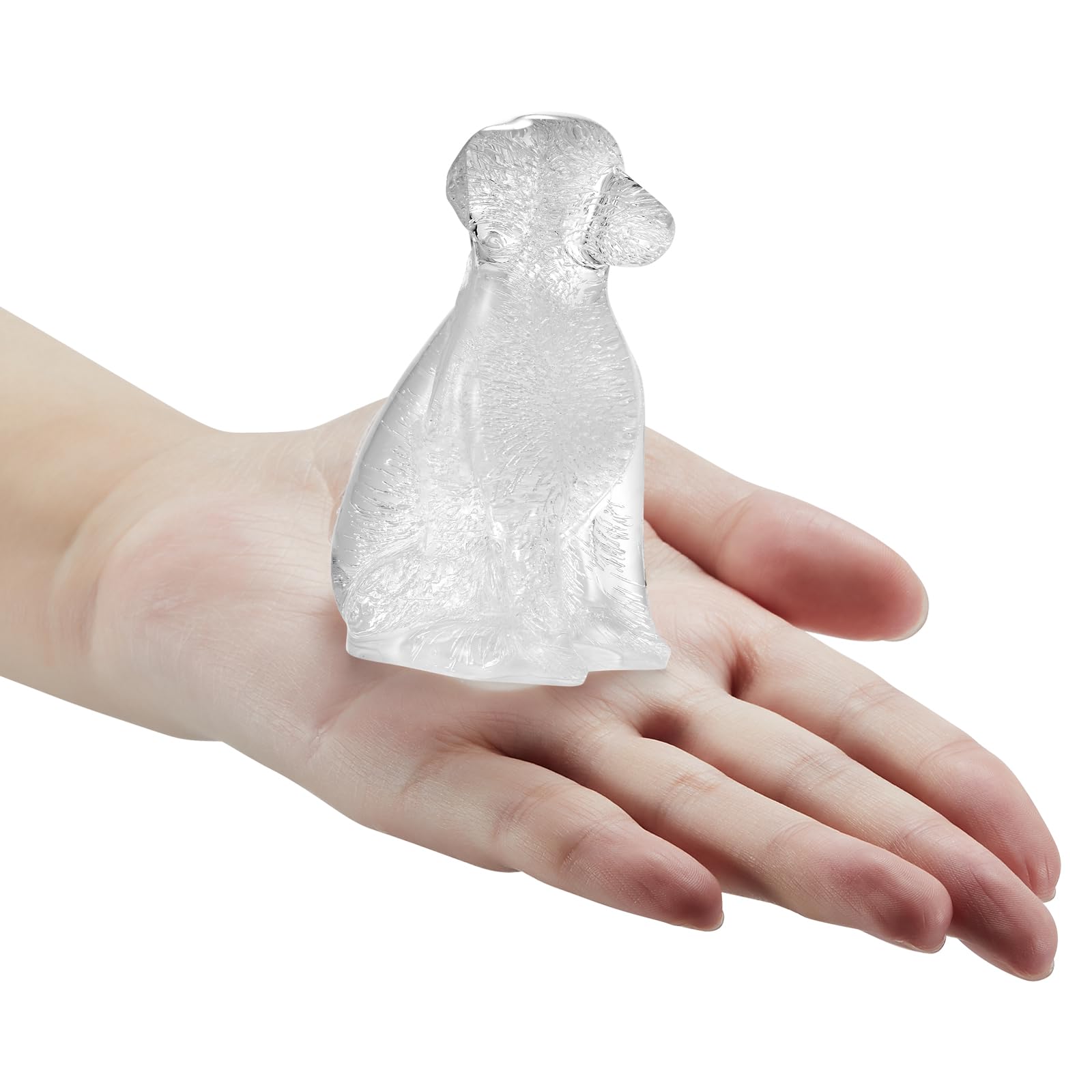 Amazon.co.jp: ACOOKEE ゴールデンレトリバー 犬用アイスキューブ型 4
