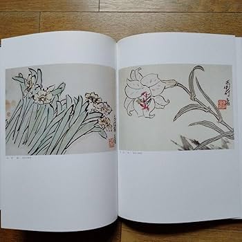 中国水墨画巨匠 李苦禅大型収蔵品画集 中国美術研究者座右の書希少貴重 Amazon.co.jp: 中国水墨画巨匠 潘天寿大型収蔵品画集 中国美術