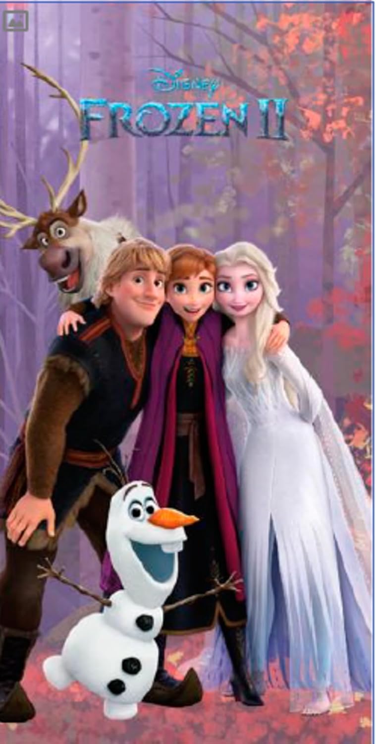 Jay Franco Ręcznik plażowy Disney Frozen 9, 70 x 140 cm, 190947