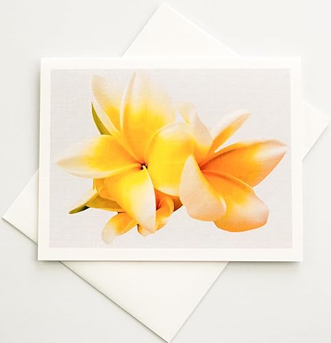 Sunshine Expressions Blooming Flowers - Tarjetas fotográficas de lino pesado, 16 con 18 sobres a juego, juego en caja (4.25 x 5.50 pulgadas) en