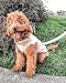 Gooby Fleece Vest Dog Sweater - Pumpkin, Medium - Warm Pullover Fleece Dog Jacket with O-Ring Leash for Small to Medium Dogs