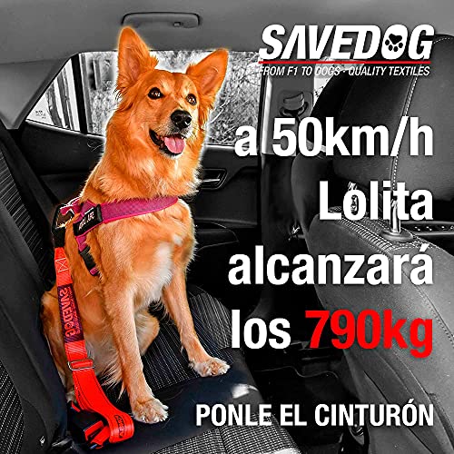 PONSA SAVEDOG. Sicherheitsgurt für Hunde. Der sicherste Gurt auf dem Markt. Traglast 1.000KG. Erfüllt die Anforderungen ISO 27955:2010. Ref.027172050102
