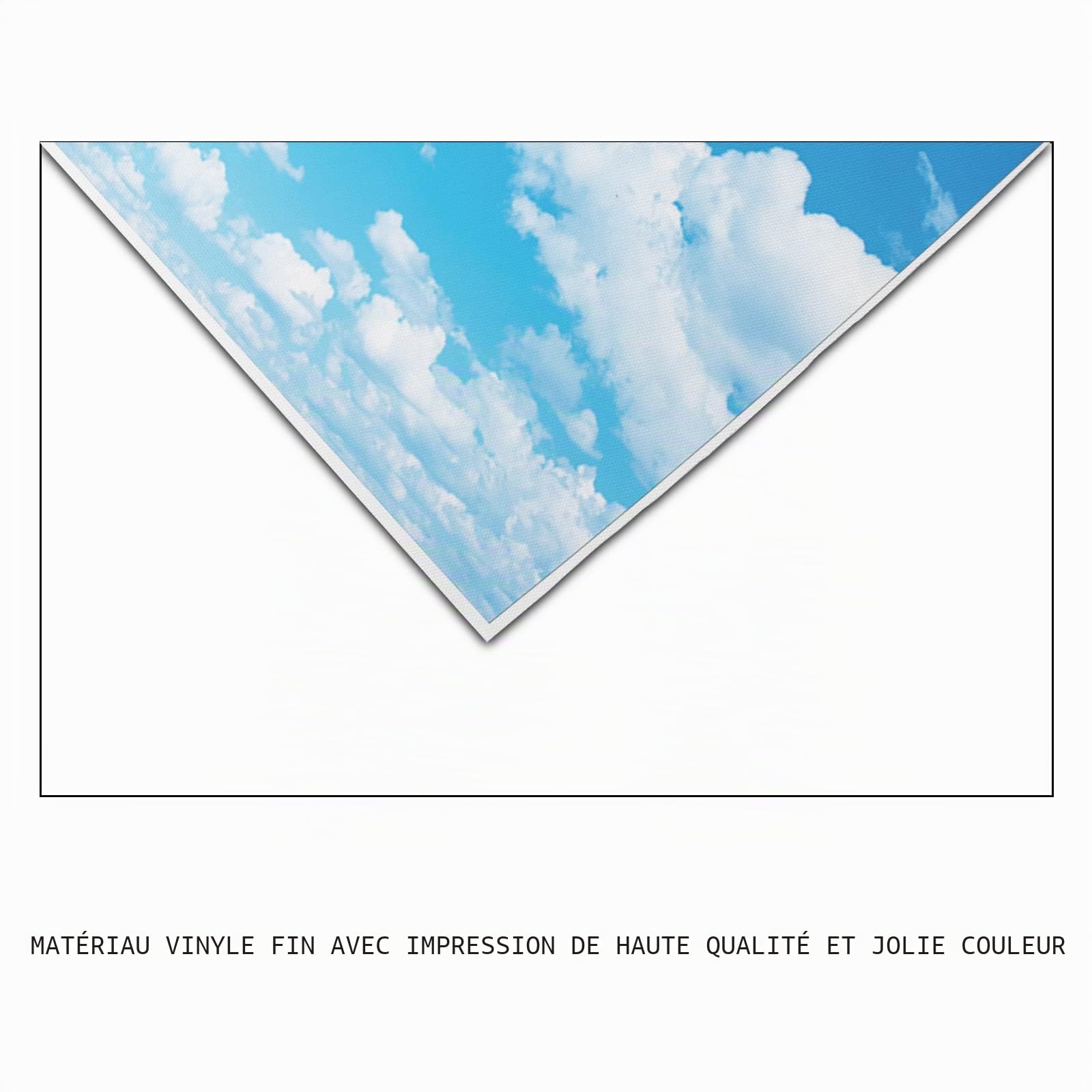 YongFoto 4,5x3m Vinyle Toile de Fond Ciel Bleu Nuage Blanc La Nature Douche de Printemps Joyeux Anniversaire Fond Décors Studio Photo Banner Enfant Video Fete Photobooth Photographie Accesorios