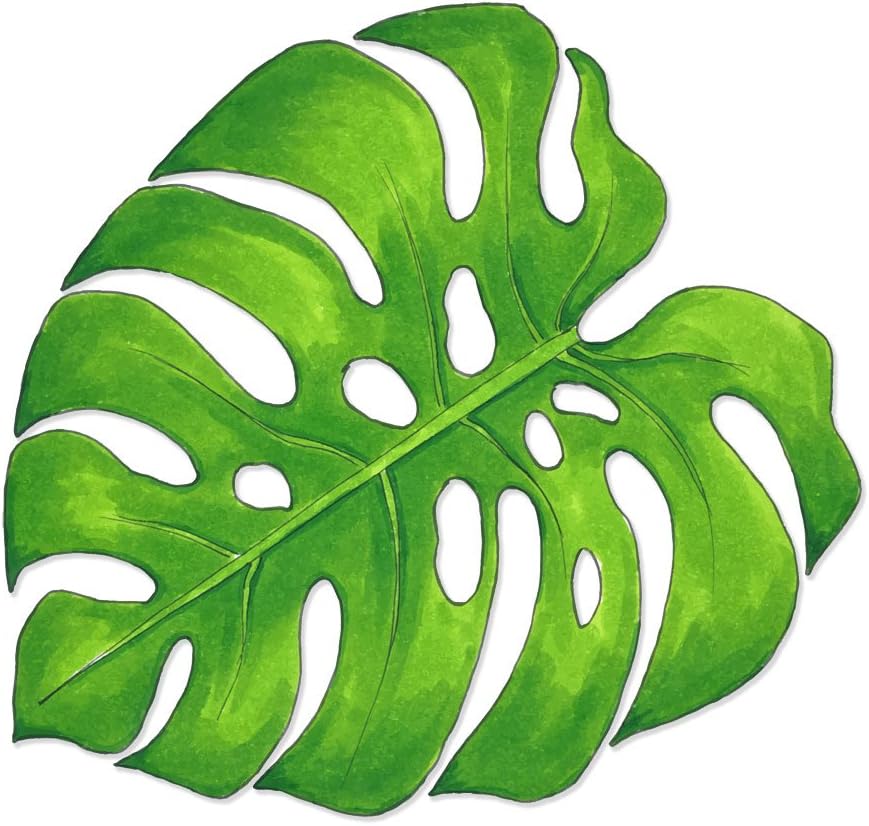 Overly Attached DecalsWatercolor Monstera Swiss Cheese Tropical Plant Leaf Car Decal - 6 ropicalplantleaf-c6-FCStandard