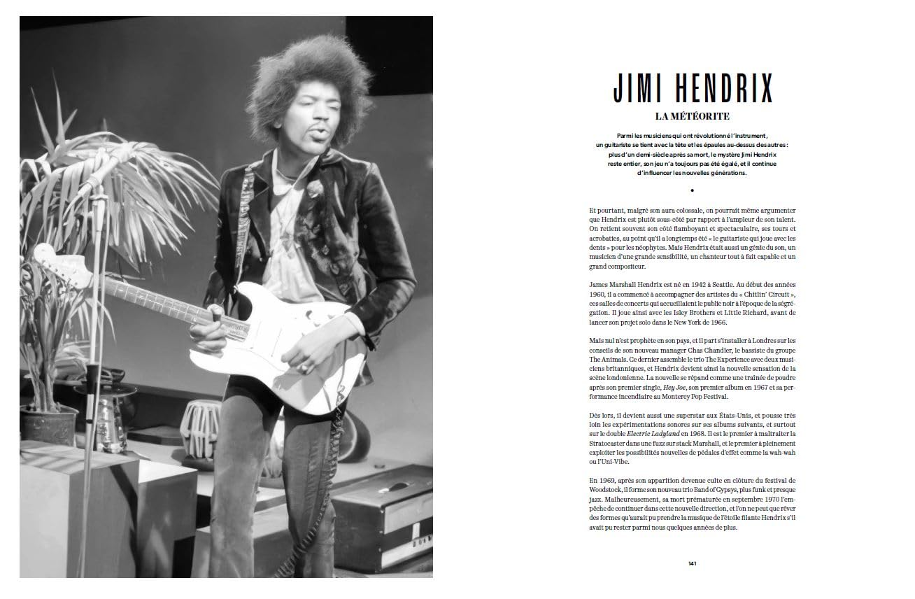 Guitares d'exception: 100 modèles mythiques et leur histoire