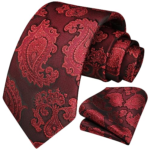 Image of HISDERN Ties for Men Paisley Tie and Pocket Square Woven Classic Floral Mens Ties Handkerchief Set Wedding Party Necktie