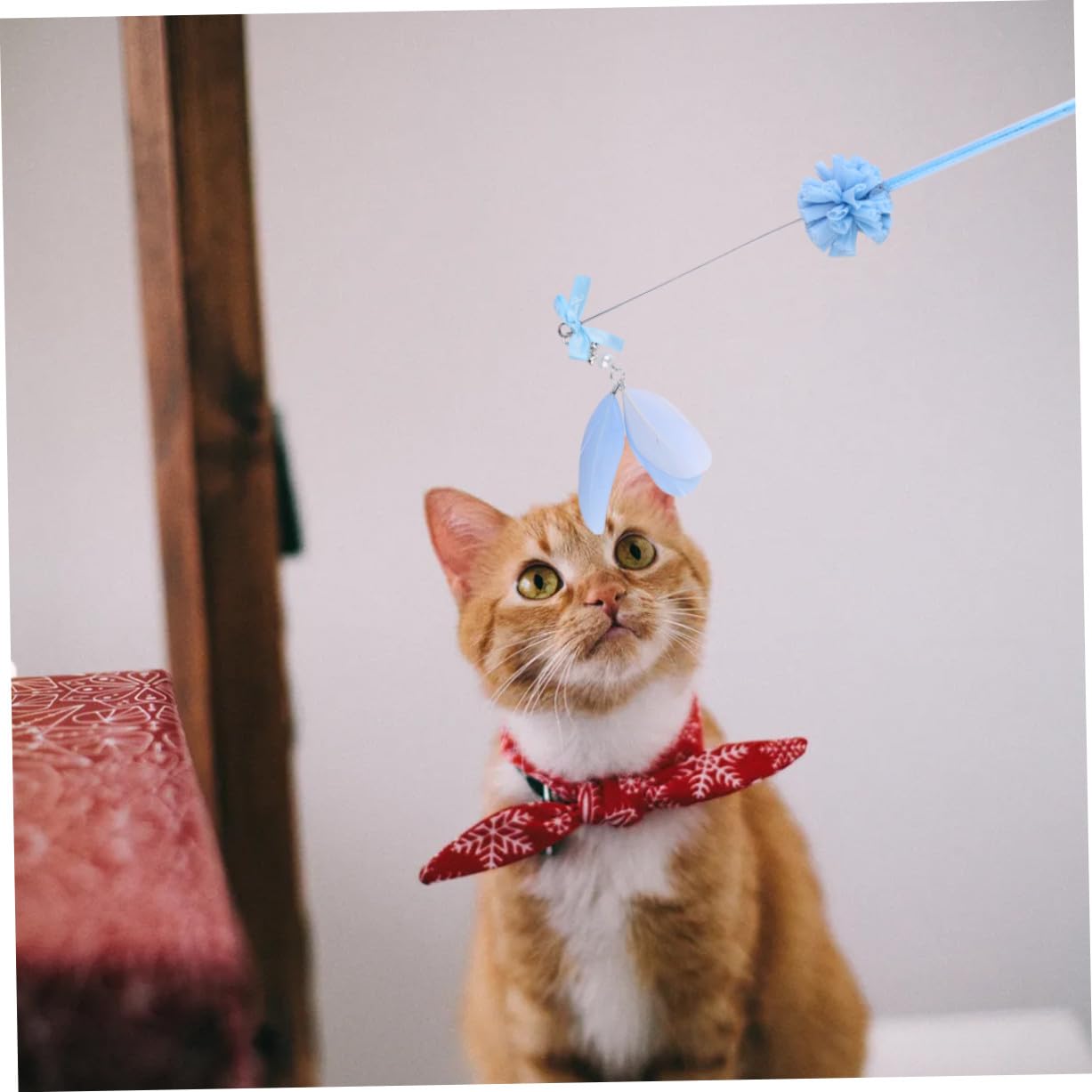 FRCOLOR 9stücke Teiliges Katzenangel Federn Und Glöckchen Interaktives Katzenspielzeug Aktivität Und Spielspaß Hergestellt Langlebigem Material Für Langfristigen