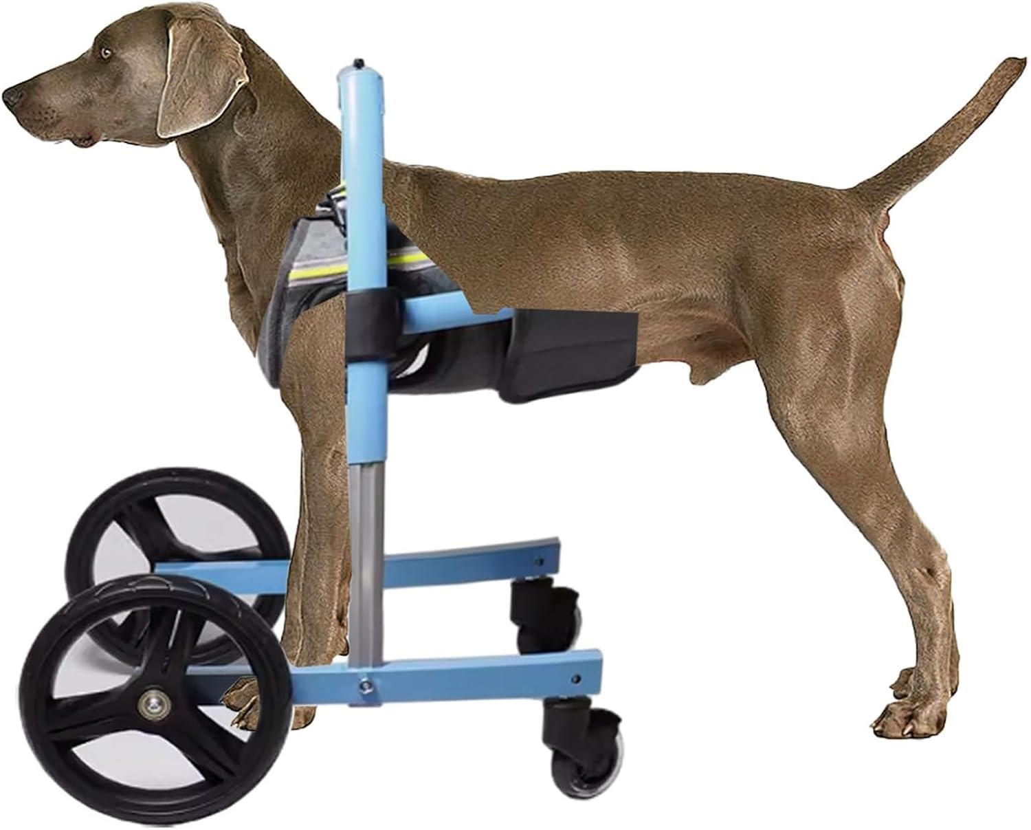 Dog Wheelchair for Front Legs - Mobility Aid for Disabled Dogs - Support Walking - Small Medium Large Breeds - Dog Trolley on Wheels