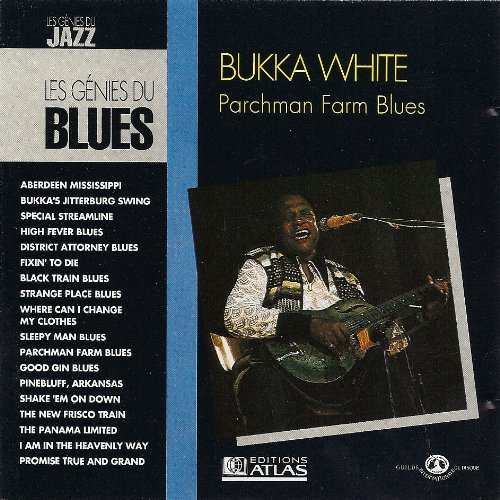 BUKKA WHITE Parchman Farm Blues. Music