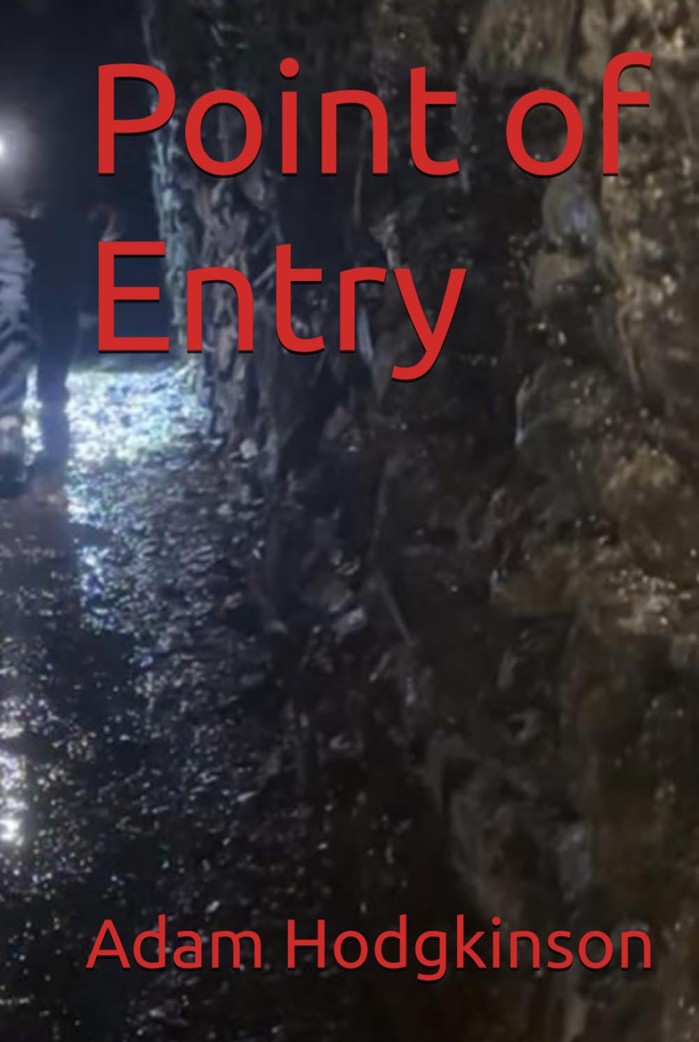 Point of Entry (Lucas Ashton - Point Crime Thriller Series)